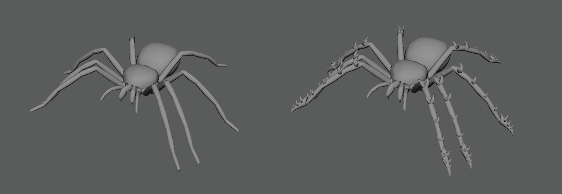 Initial spider model